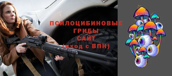 трава Магас