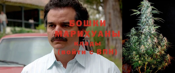 мдпв Майский