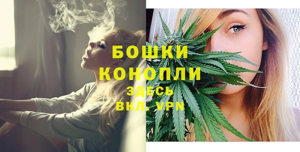 трава Магас