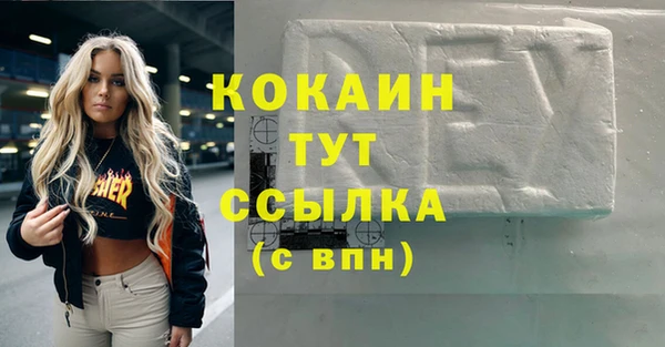 трава Магас