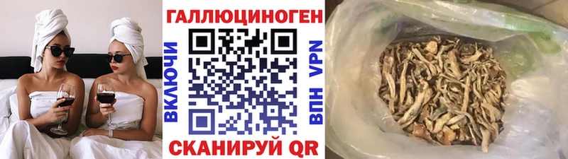 Купить  Лахденпохья  Галлюциногенные грибы мицелий 
